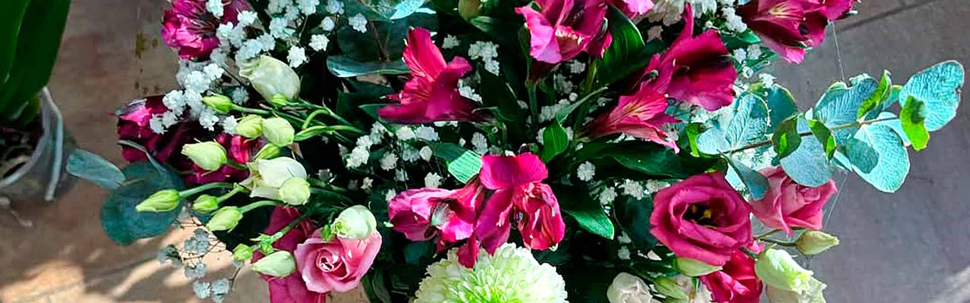 flores-y-ramos-en-comercio-de-moralzarzal