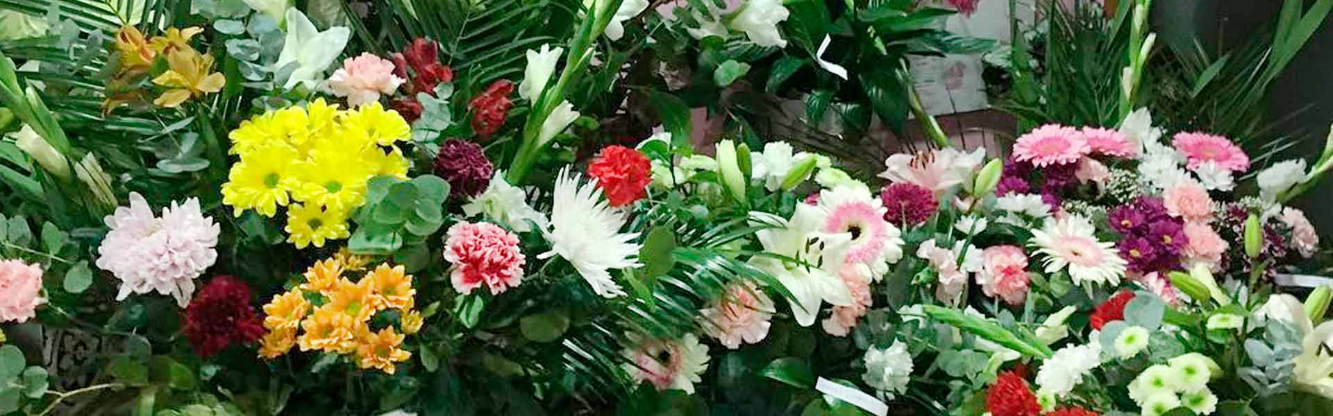 tienda-de-flores-naturales-en-moralzarzal